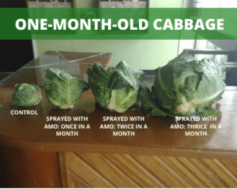 results-crop-progression-1